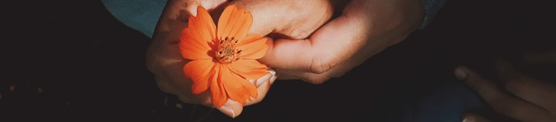 Two hands embracing and holding a flower