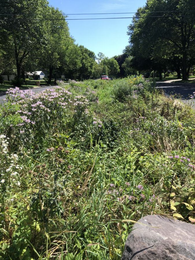 City-owned rain garden at Barton Road and Rae Lane on a median