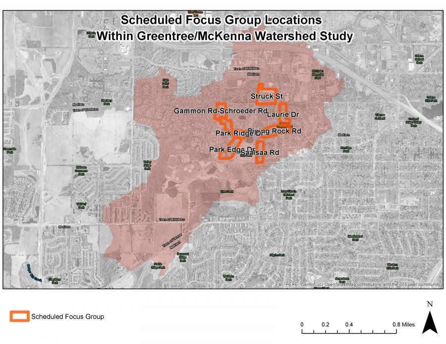 Greentree/McKenna Focus Groups Areas