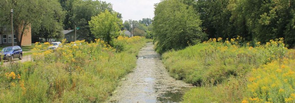 Starkweather creek with native vegetation in full bloom.   Photo taken from the starkweather creek path bridge near Darbo Drive