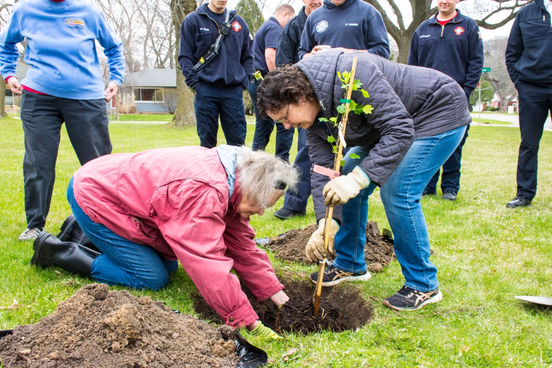 Nancy Sloan and Maureen Wild Gordon place tree into the ground