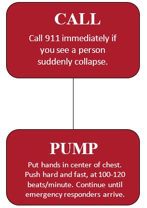 Graphic describing to "call 911 if you see a person suddenly collapse," and "put your hands in the center of chest and push hard and fast until first responders arrive."