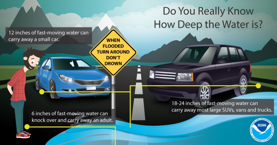 Cars stopping before entering flood waters  during a flooding event Infographic.