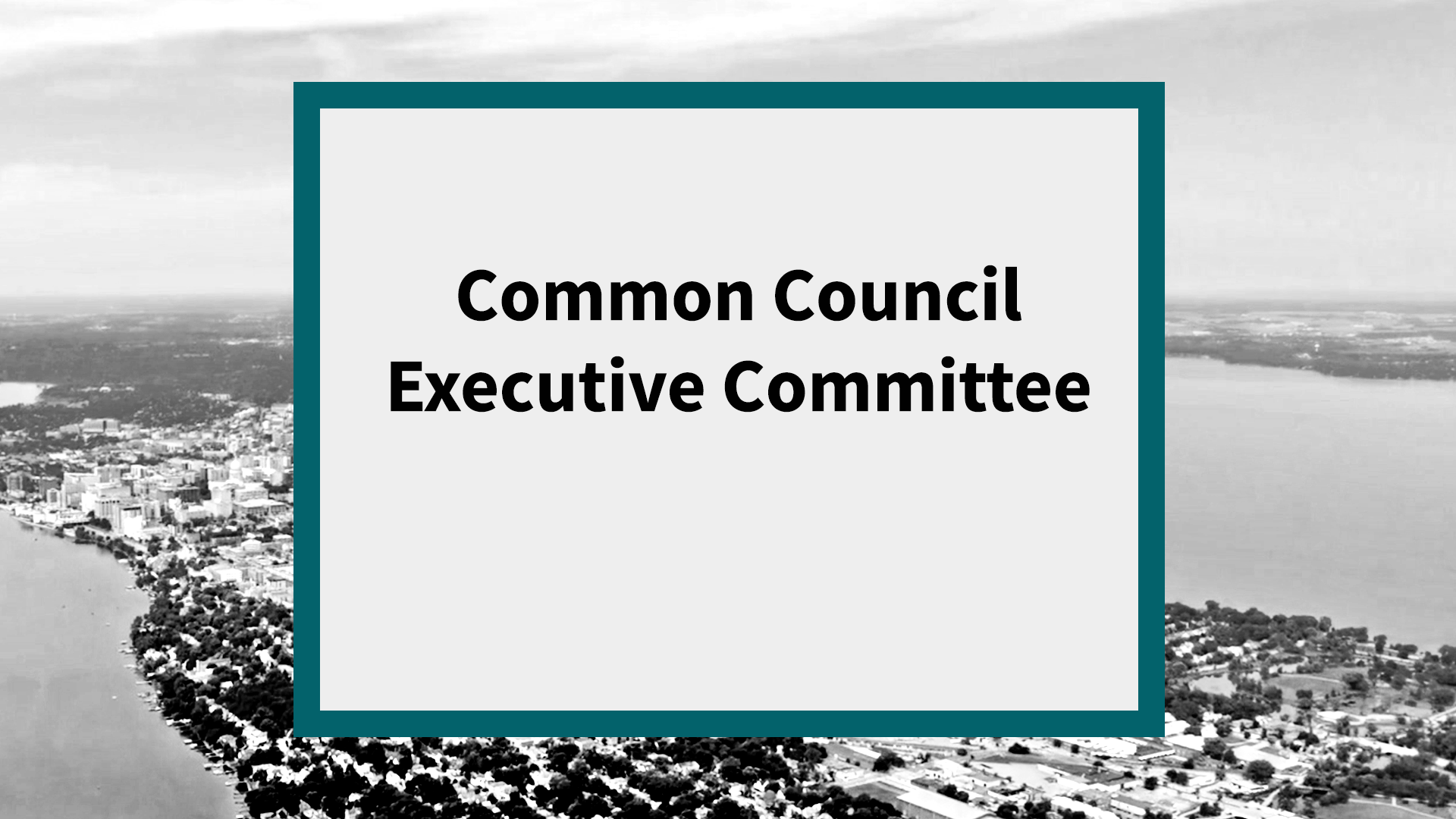 Common Council Executive Committee
