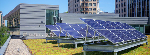 Solar panels on a garden rooftop.