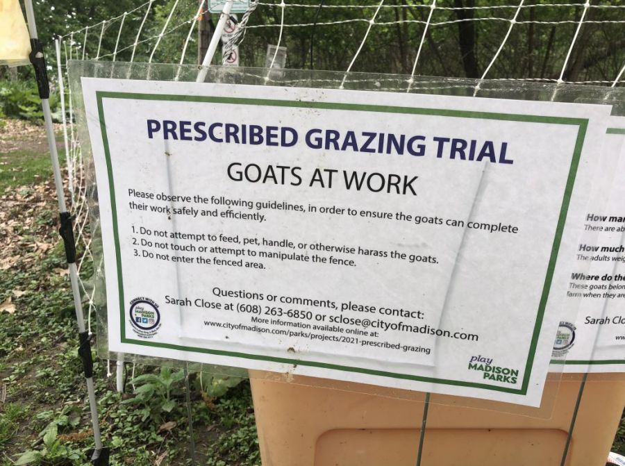 Signage at the parks reads "Prescribed Grazing Trail - Goats at Work".