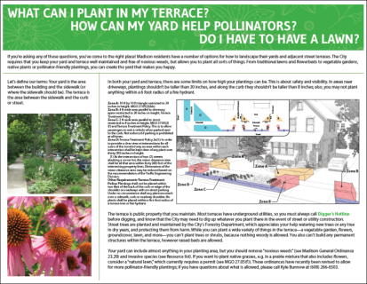 Terrace and Yard Planting Brochure