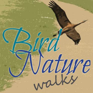 Bird and Nature Walks