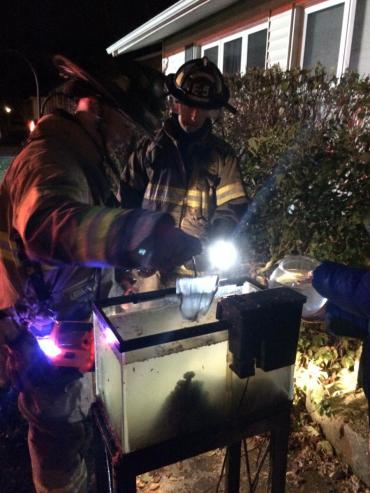 Firefighters retrieving beta fish from aquarium