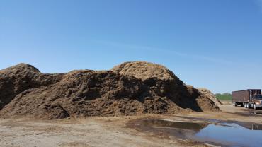Pile of wood chips at the brush processing center