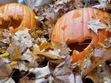 Two jack-o-lanterns in a leaf pile, waiting for Streets Division crews to carry them off to the composter.