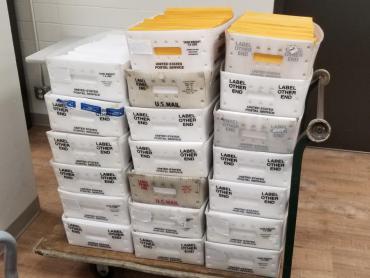 Trays of absentee ballots headed to the Post Office