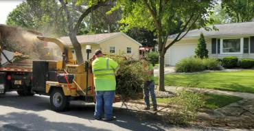 Two Streets Division employees feeding brush into a wood chipper.