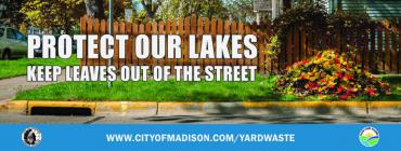 Protect our lakes: keep leaves out of the street