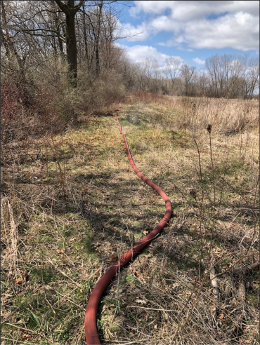 Fire hose entering the woods