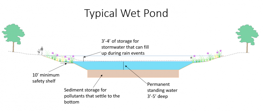 Pond diagram