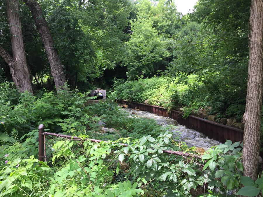 Downstream side of culvert at Chippewa Court looking upstream towards bike path