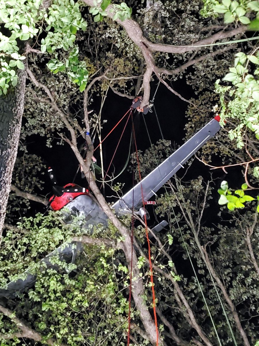 View of plane in the tree