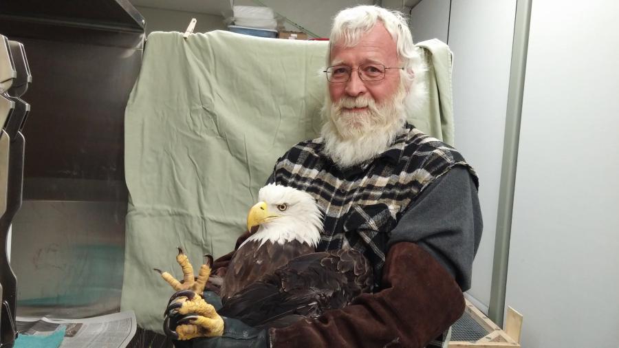 John Kraak holding a bald eagle