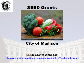SEED Grants Video Presentation