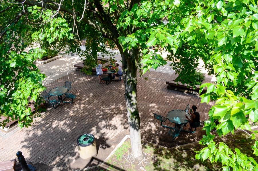 trees in courtyard,  photo credit: City of Madison