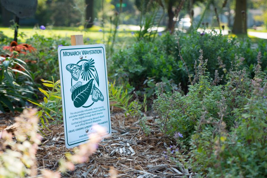 Monarch Waystation - This pollinator garden was donated and installed by the Sunset Garden Club in 2017.