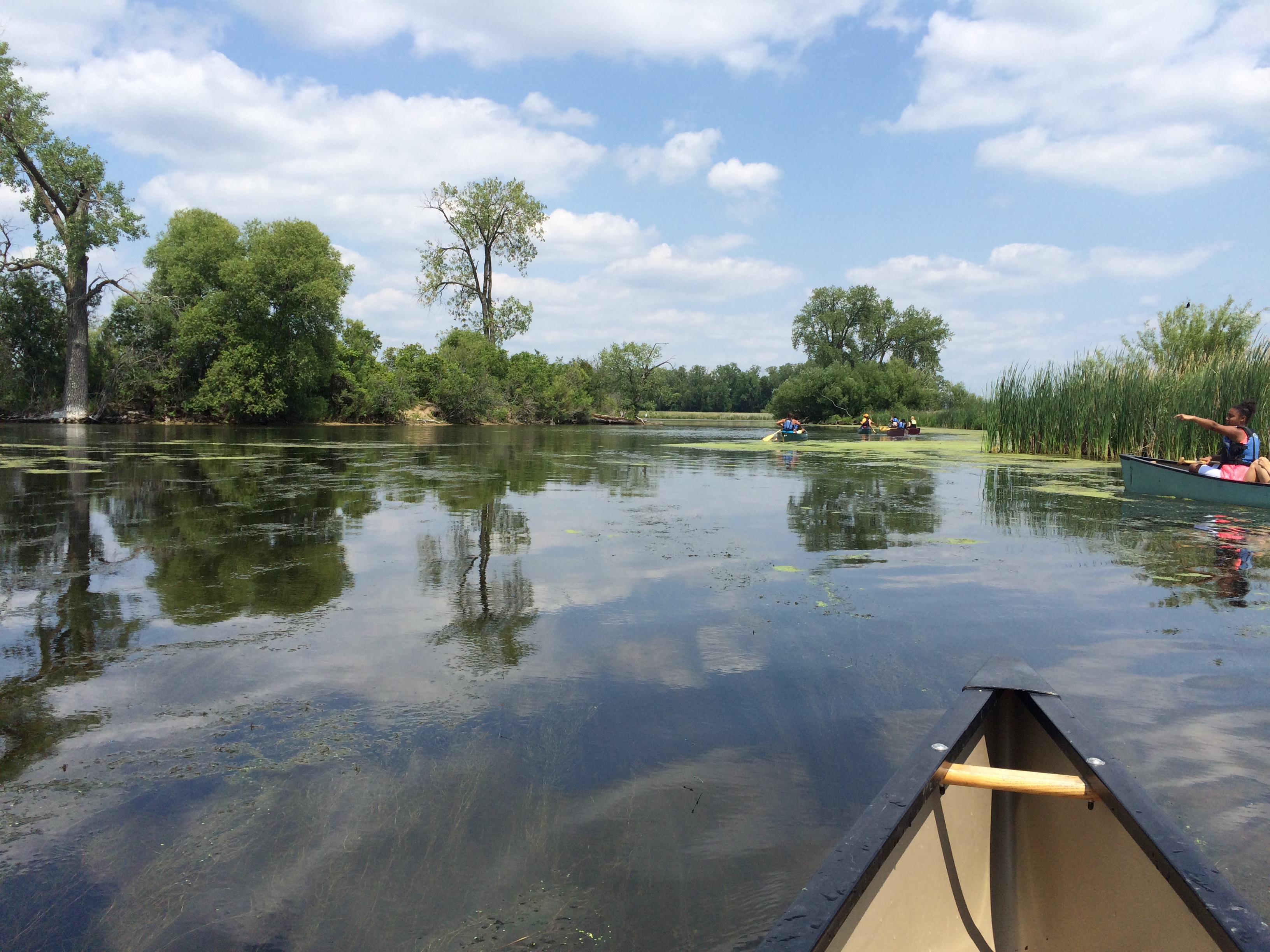 Mysteries of the Marsh