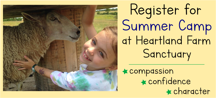 Heartland's Summer Camp