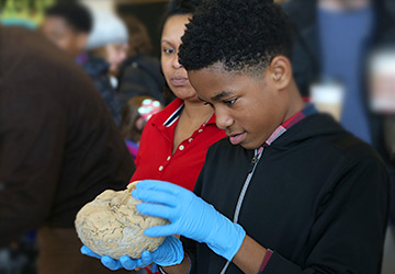 Saturday Science at Discovery