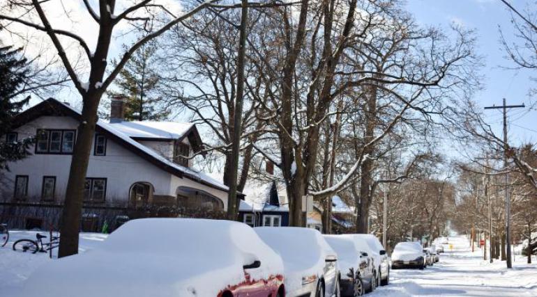 Image of several cars parked along the left side curb of a tree-lined street covered with snow.