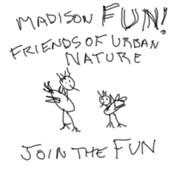 Madison FUN logo