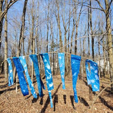 Narrow blue cyanotype panels with prints of various leaves in white are draped over a branch.