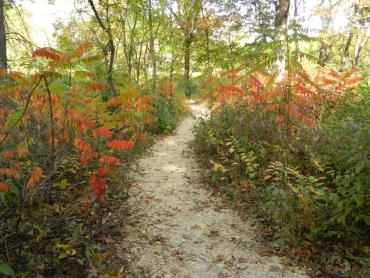 park trail in fall
