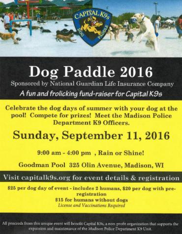 Dog Paddle 2016