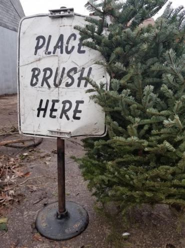 Holiday trees can also be delivered to the drop-off sites.