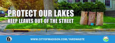 Protect our lakes: keep leaves out of the street 