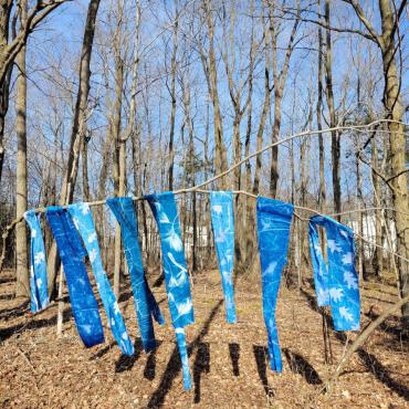 Cyanotype fabric strips with white plants printed on a blue ground, hanging from a wooden structure surrounded by trees