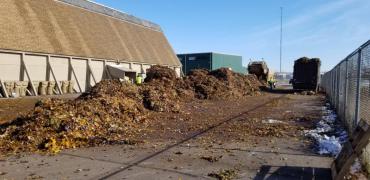Piles of leaves were dumped at 402 South Point Rd before being hauled to the composter.