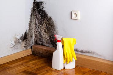 Cleaning mold