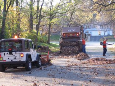 Leaf Crew