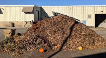 Medium-sized pile of yard waste at the drop-off site - and you should take yard waste to a drop-off site now, too.