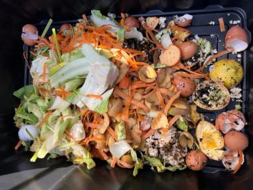 This is a photo of the kind of scraps we can accept. Is this picture a little gross? Nope. It's just food scraps. It's no big deal.