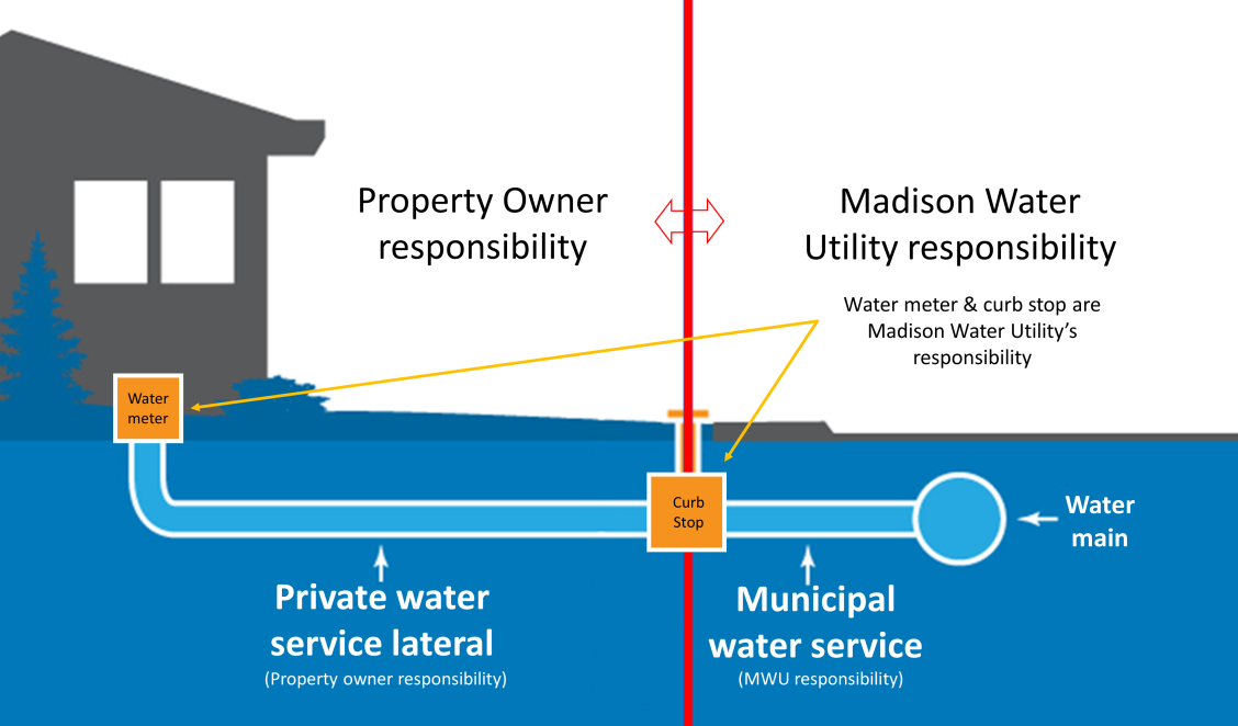 Replacing Lead Service Graphic