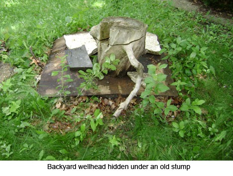 Backyard wellhead hidden under old stump